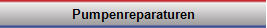 Pumpenreparaturen
