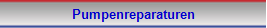 Pumpenreparaturen